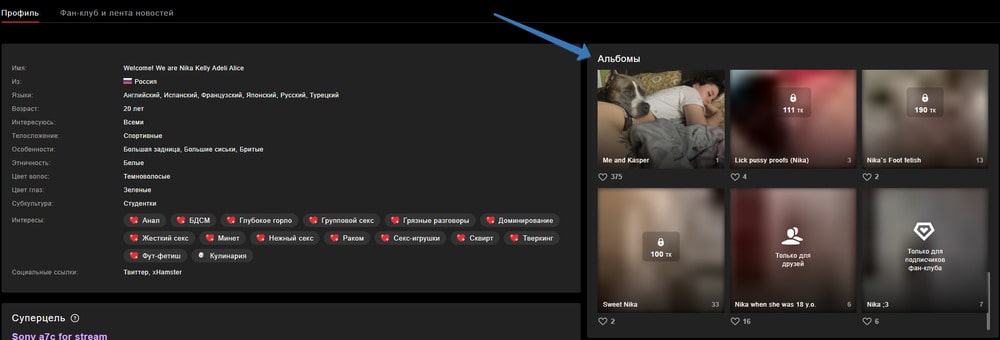 Платные альбомы на Stripchat: дополнительный доход для моделей